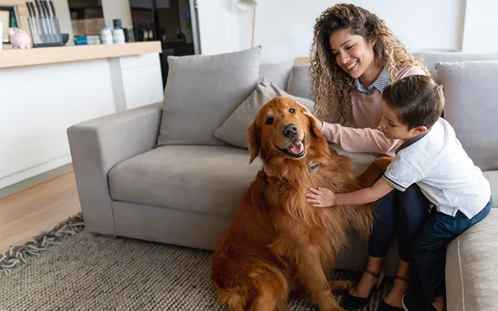 A woman and a child sitting on the floor smiling and petting a joyful golden retriever inside a living room.